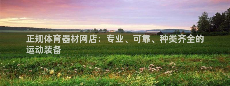 极悦娱乐的最新版本更新内容是什么：正规体育器材网店：