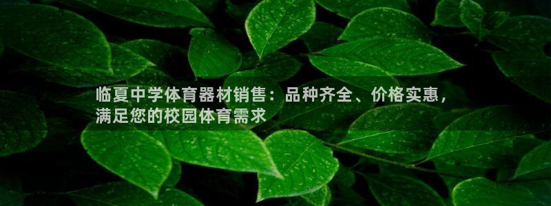 极悦平台的注册流程及注意事项：临夏中学体育器材销售：