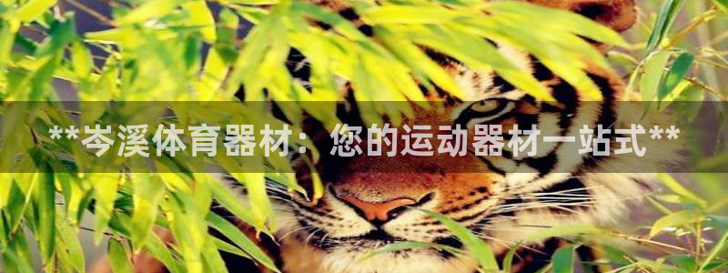 极悦平台注册用户名格式是什么：**岑溪体育器材：您的