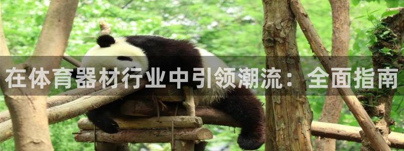 极悦平台客服的联系方式是：在体育器材行业中引领潮流：
