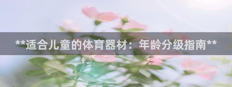 极悦官网入口登录网址：**适合儿童的体育器材：年龄分