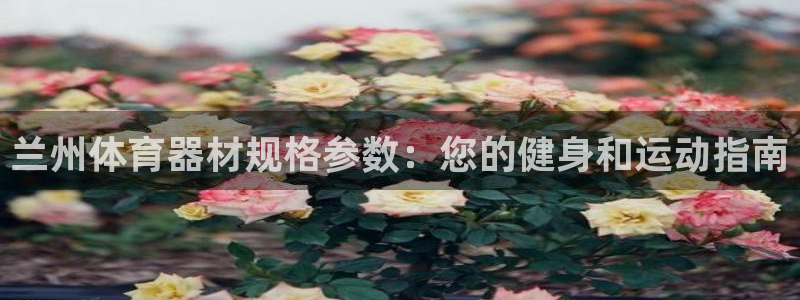极悦娱乐最新版本更新内容介绍：兰州体育器材规格参数：