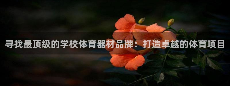 极悦娱乐创始人背景故事：寻找最顶级的学校体育器材品牌