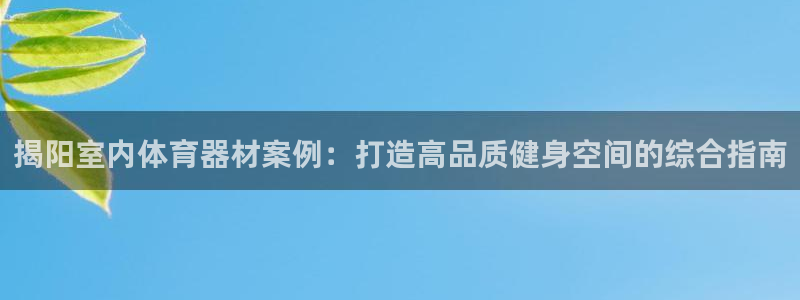 极悦平台官方网站首页：揭阳室内体育器材案例：打造高品