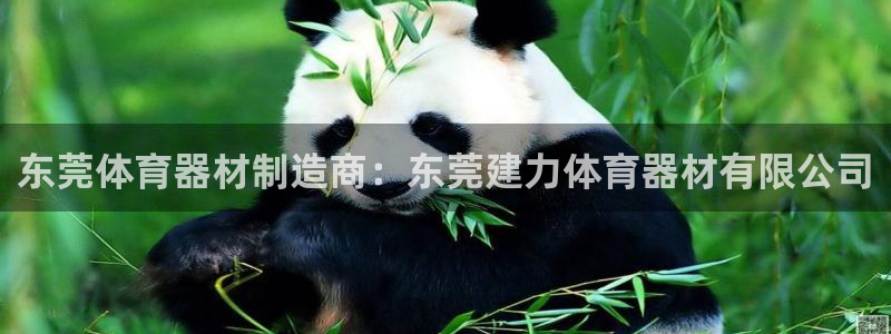 极悦平台是干嘛的软件：东莞体育器材制造商：东莞建力体