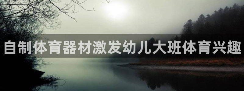 极悦平台用户评价与反馈在哪里：自制体育器材激发幼儿大