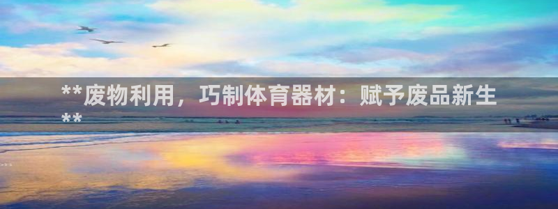 极悦官网入口登录：**废物利用，巧制体育器材：赋予废