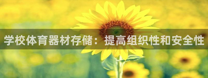 极悦娱乐的内部员工福利：学校体育器材存储：提高组织性