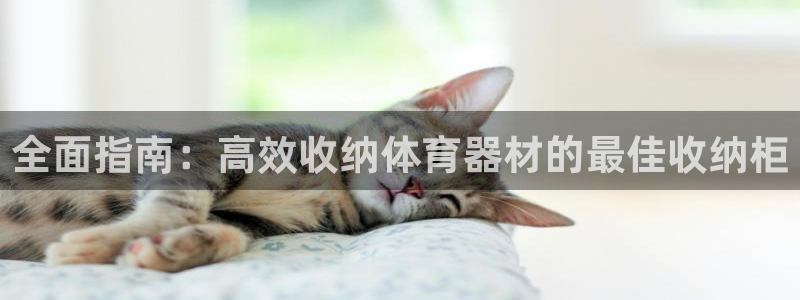 加盟极悦教育怎么样：全面指南：高效收纳体育器材的最佳