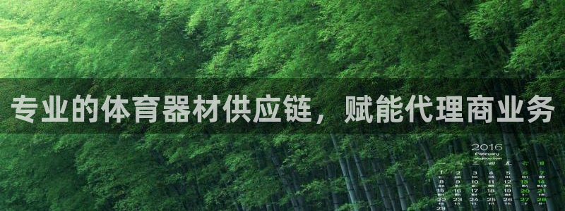 极悦平台官方网址查询：专业的体育器材供应链，赋能代理