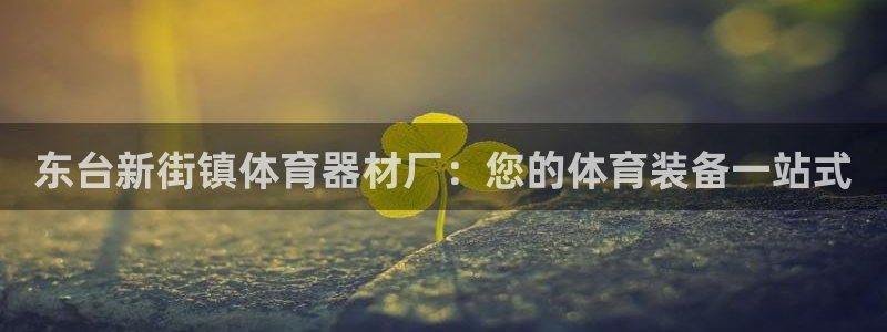 极悦平台官网登录入口网址是什么：东台新街镇体育器材厂
