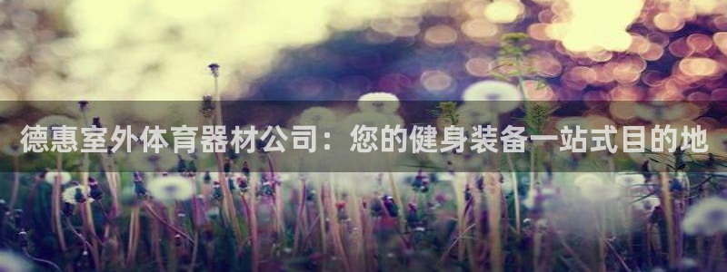 极悦平台客服团队名称：德惠室外体育器材公司：您的健身