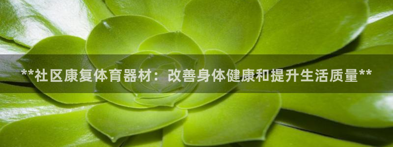 极悦平台注册官网网址：**社区康复体育器材：改善身体