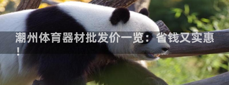 极悦平台客服团队名称：潮州体育器材批发价一览：省钱又