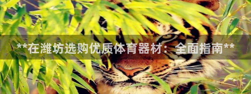 极悦娱乐现在叫什么：**在潍坊选购优质体育器材：全面