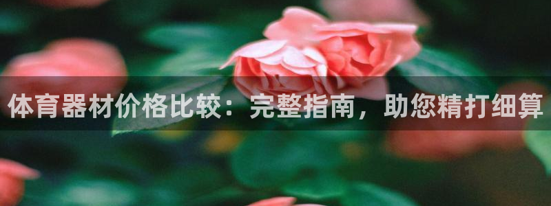 极悦官方网站入口网址是什么：体育器材价格比较：完整指