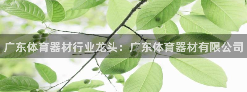 极悦娱乐方7O777：广东体育器材行业龙头：广东体育