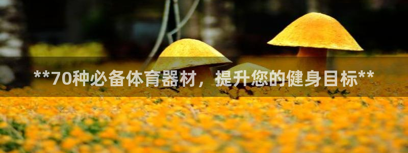 极悦生活家是什么平台的软件