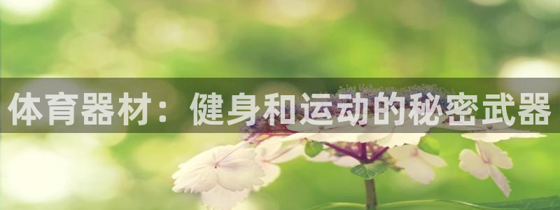 极悦平台官网登录入口：体育器材：健身和运动的秘密武器