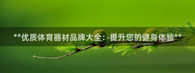 极悦娱乐负责人怎么样：**优质体育器材品牌大全：提升