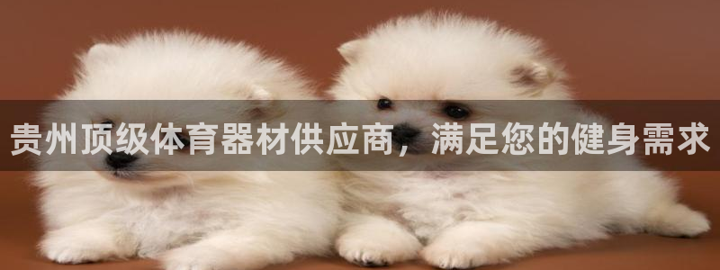 极悦平台是正规平台吗安全吗可靠吗：贵州顶级体育器材供