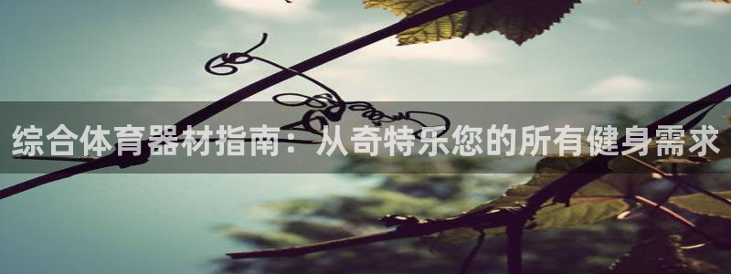 极悦平台是干什么的：综合体育器材指南：从奇特乐您的所