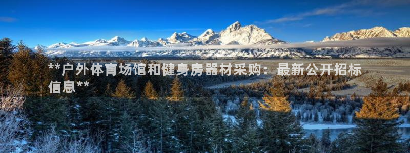 极悦娱乐创始人背景故事：**户外体育场馆和健身房器材