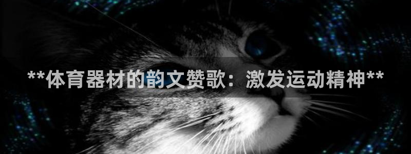 极悦官方网站入口网址是什么：**体育器材的韵文赞歌：