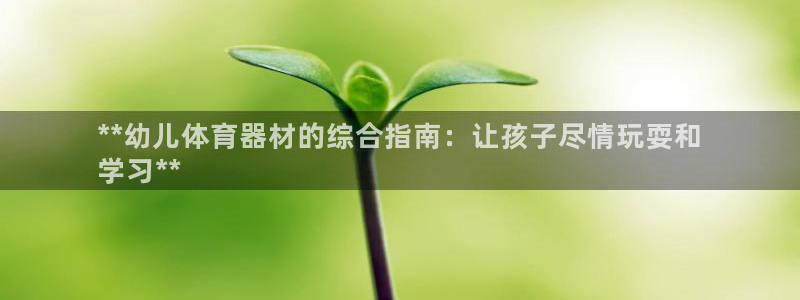 极悦平台官方网址：**幼儿体育器材的综合指南：让孩子