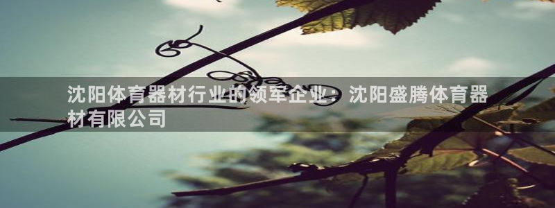 极悦平台注册资金多少钱：沈阳体育器材行业的领军企业：