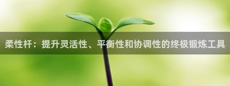 极悦平台是什么平台的