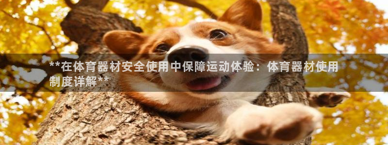 无锡极悦科技有限公司：**在体育器材安全使用中保障运