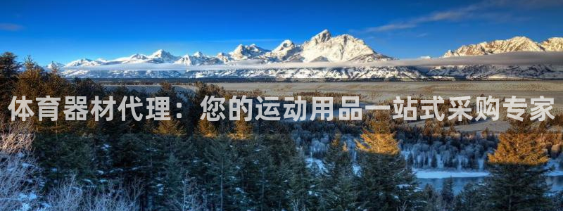极悦平台app二维码怎么弄到桌面：体育器材代理：您的