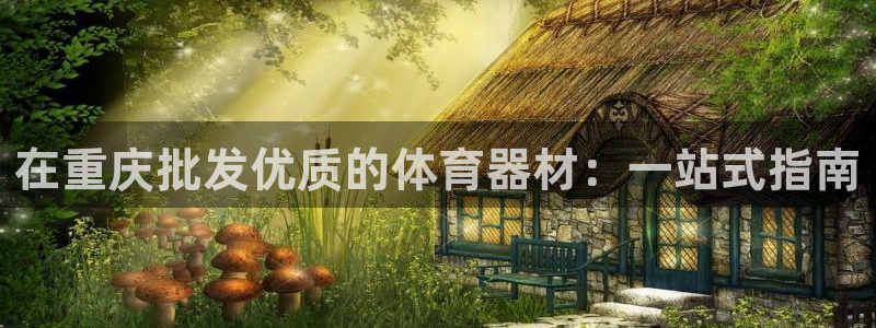 极悦平台注册申请流程详解：在重庆批发优质的体育器材：