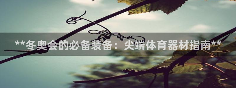 加盟极悦教育：**冬奥会的必备装备：尖端体育器材指南