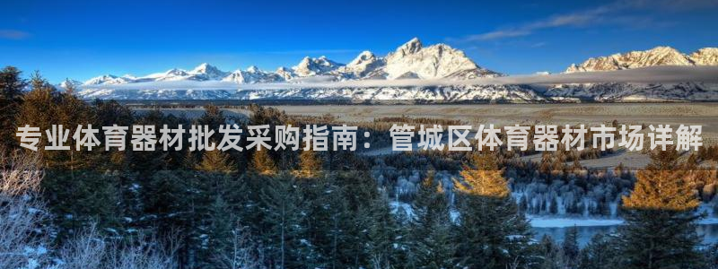 极悦平台app二维码怎么弄：专业体育器材批发采购指南
