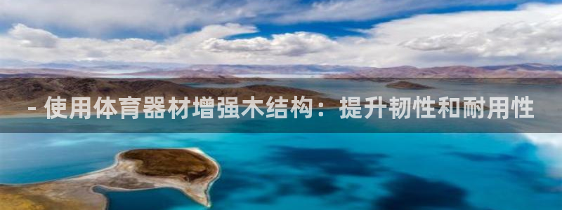 极悦平台用户评价与反馈在哪里：- 使用体育器材增强木