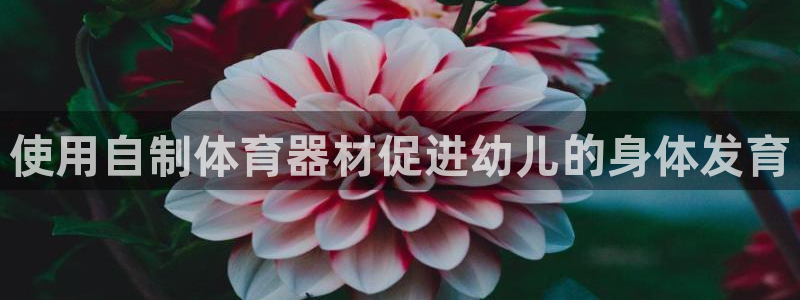 极悦娱乐挂机赚钱是真的吗吗：使用自制体育器材促进幼儿