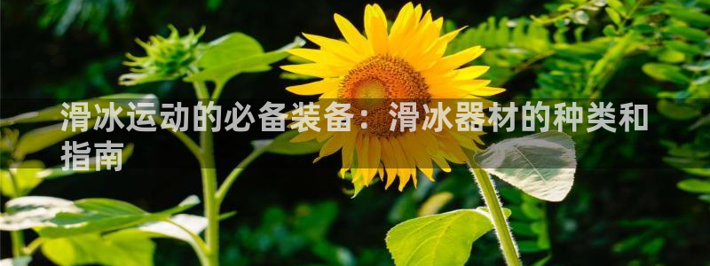 极悦平台登录最新版本更新内容在哪：滑冰运动的必备装备