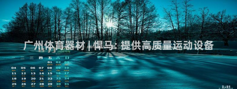 极悦娱乐负责人怎么样：广州体育器材 | 悍马: 提供