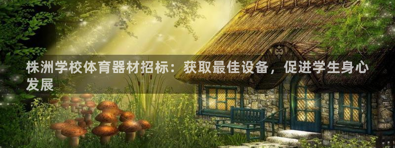 极悦平台是什么平台的：株洲学校体育器材招标：获取最佳