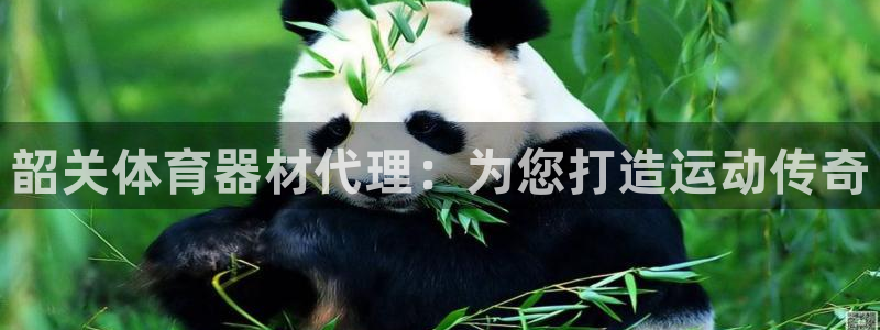 极悦平台代理怎么做的：韶关体育器材代理：为您打造运动
