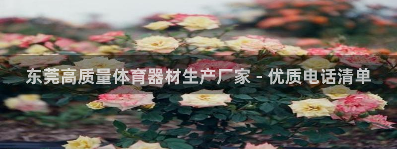 极悦平台官网登录不了怎么回事：东莞高质量体育器材生产
