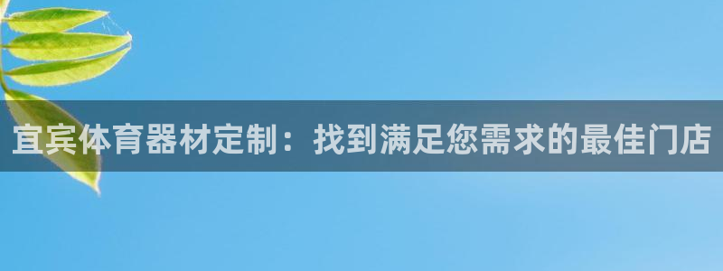 极悦娱乐贴吧百度：宜宾体育器材定制：找到满足您需求的