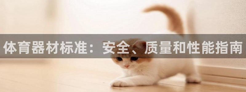 极悦娱乐官方网站：体育器材标准：安全、质量和性能指南