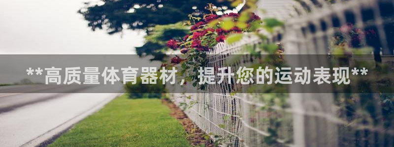 极悦平台：**高质量体育器材，提升您的运动表现**