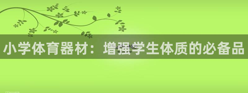 极悦平台注册官网：小学体育器材：增强学生体质的必备品