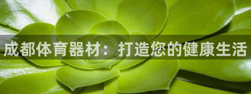 极悦娱乐贴吧：成都体育器材：打造您的健康生活