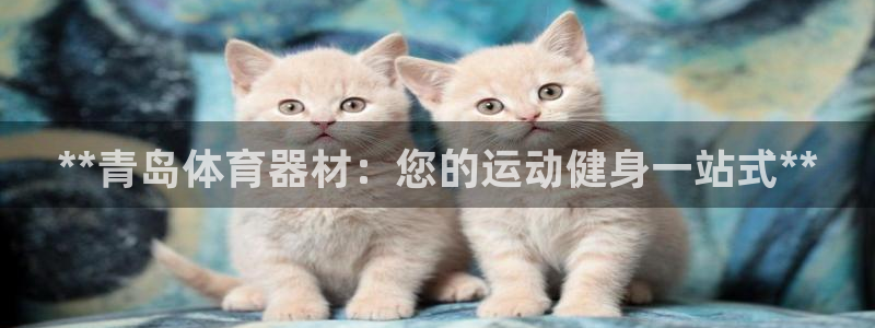极悦平台平台注册方法与步骤视频：**青岛体育器材：您