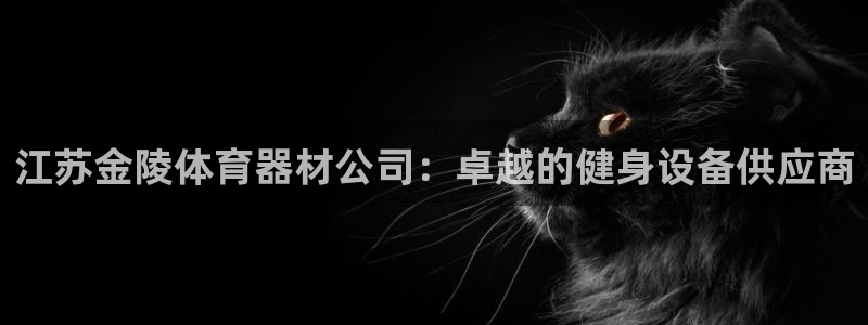 极悦娱乐创始人背景故事是什么：江苏金陵体育器材公司：